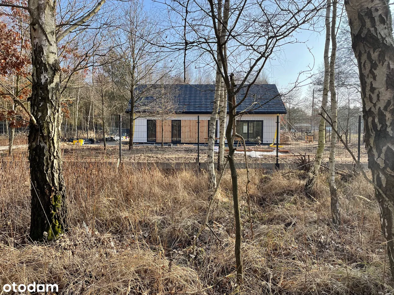 Dom w otoczeniu brzóz