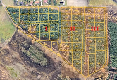 Mapa podziału działek w Jaźwinach