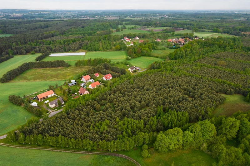 Las otaczający osiedle